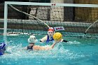 WWPolo vs CC  Wheaton College Women’s Water Polo compete in their sports inaugural match vs Connecticut College. - Photo By: KEITH NORDSTROM : Wheaton, water polo, inaugural